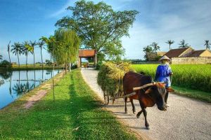 18 Days Truly Vietnam Tour