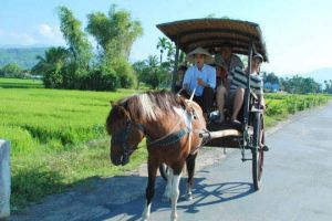 Nha Trang Countryside Tour Cruise Ship