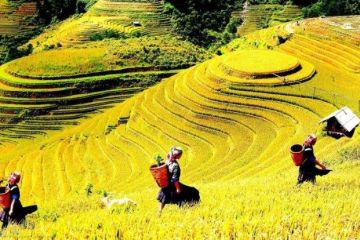 2 Days Sapa Tour From Hanoi By Bus