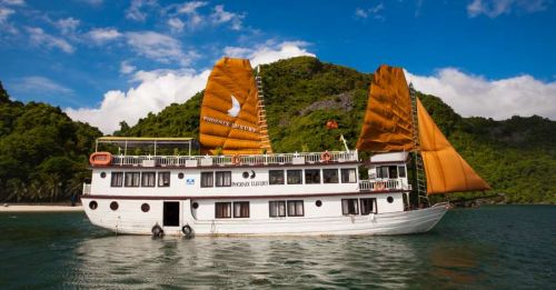 Halong Phoenix Cruiser Review | Best Budget Halong Bay Cruise