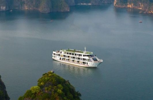 Magenta Cruises 2 days