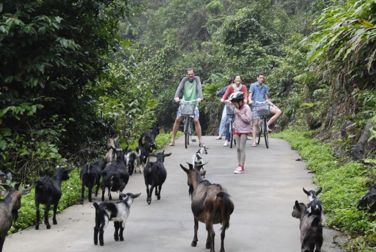 Biking in Cat Ba island