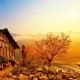 17 Days Northeast Vietnam Photography Tour