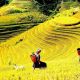 2 Days Sapa Tour From Hanoi By Bus