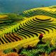 23 Days Grand Vietnam Tour